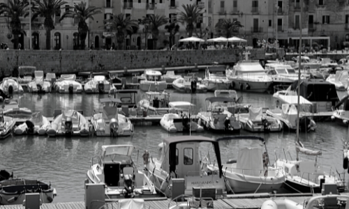 Senza titolo (500 × 200 px) (2) Senza titolo (500 × 200 px) (2)